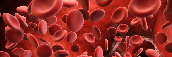 Understanding Blood Chemistry